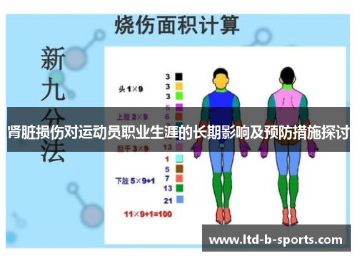 肾脏损伤对运动员职业生涯的长期影响及预防措施探讨 肾脏损伤对运动员职业生涯的长期影响及预防措施探讨