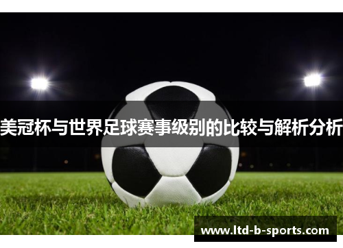 美冠杯与世界足球赛事级别的比较与解析分析