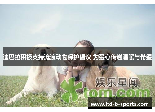 迪巴拉积极支持流浪动物保护倡议 为爱心传递温暖与希望