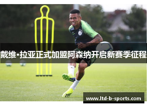 戴维·拉亚正式加盟阿森纳开启新赛季征程 戴维·拉亚正式加盟阿森纳开启新赛季征程