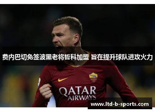 费内巴切免签波黑老将哲科加盟 旨在提升球队进攻火力 费内巴切免签波黑老将哲科加盟 旨在提升球队进攻火力