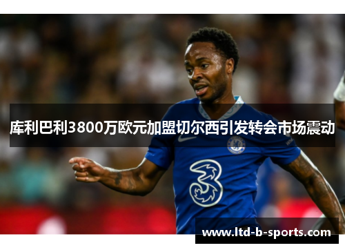 库利巴利3800万欧元加盟切尔西引发转会市场震动 库利巴利3800万欧元加盟切尔西引发转会市场震动
